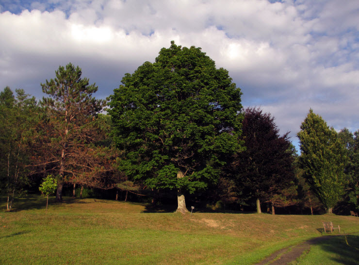 Nannen Arboretum, United States